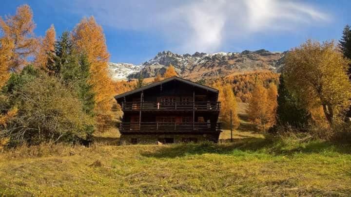 Chalet Singlinaz Daire Zinal Dış mekan fotoğraf