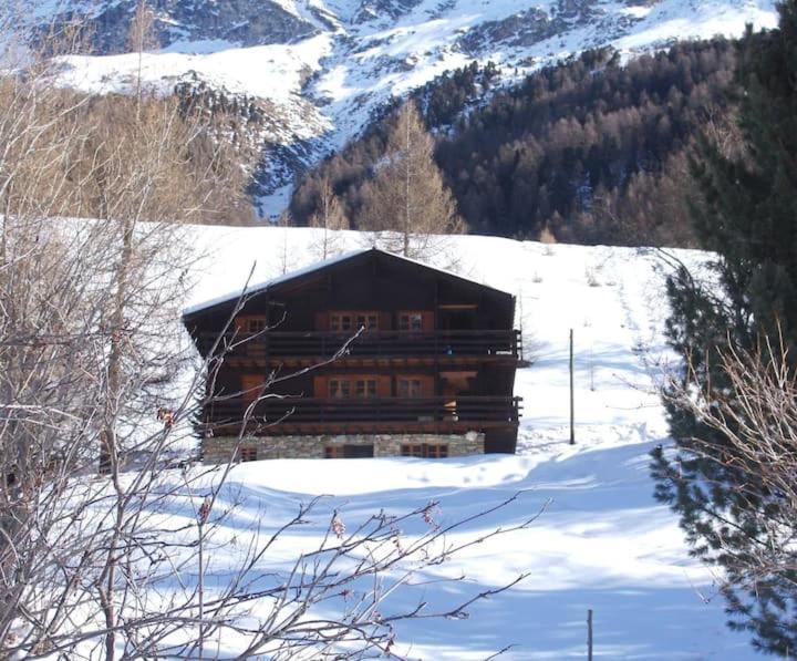 Chalet Singlinaz Zinal Dış mekan fotoğraf