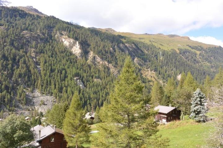Chalet Singlinaz Zinal Dış mekan fotoğraf