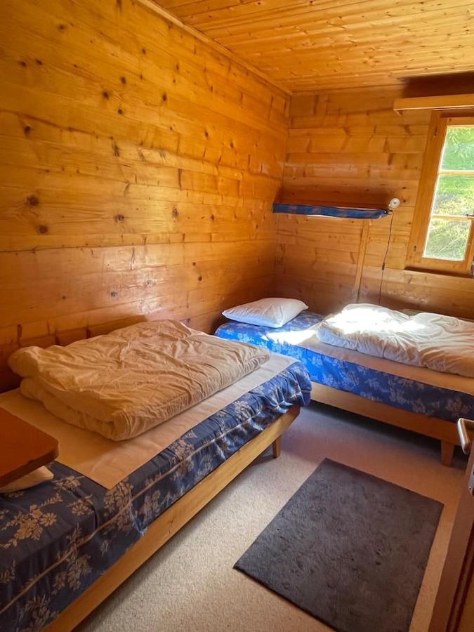 Chalet Singlinaz Zinal Dış mekan fotoğraf